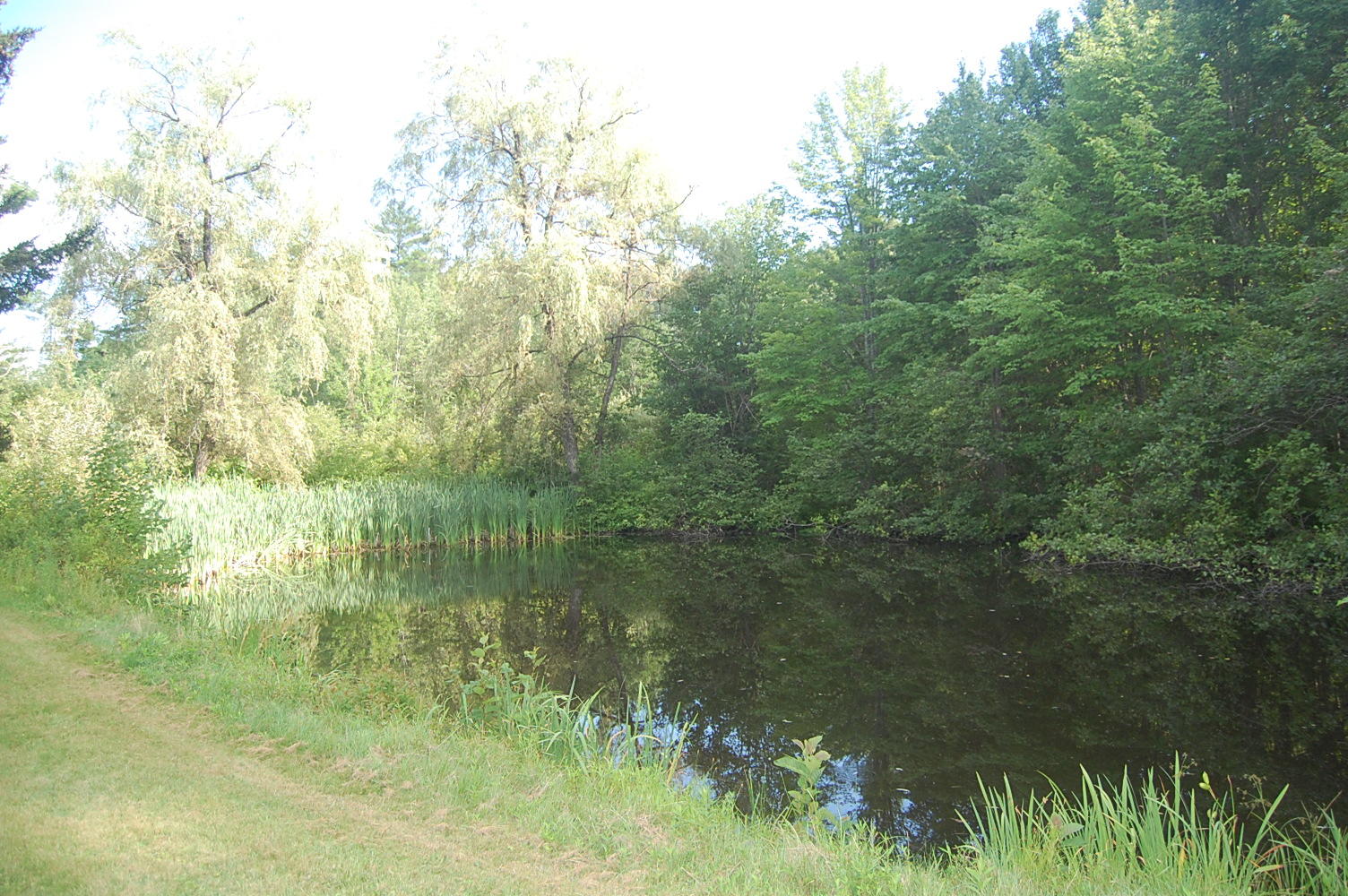 320 Bridge Street Newfield, ME 04095 - Photo 3 of 13 Pond on property