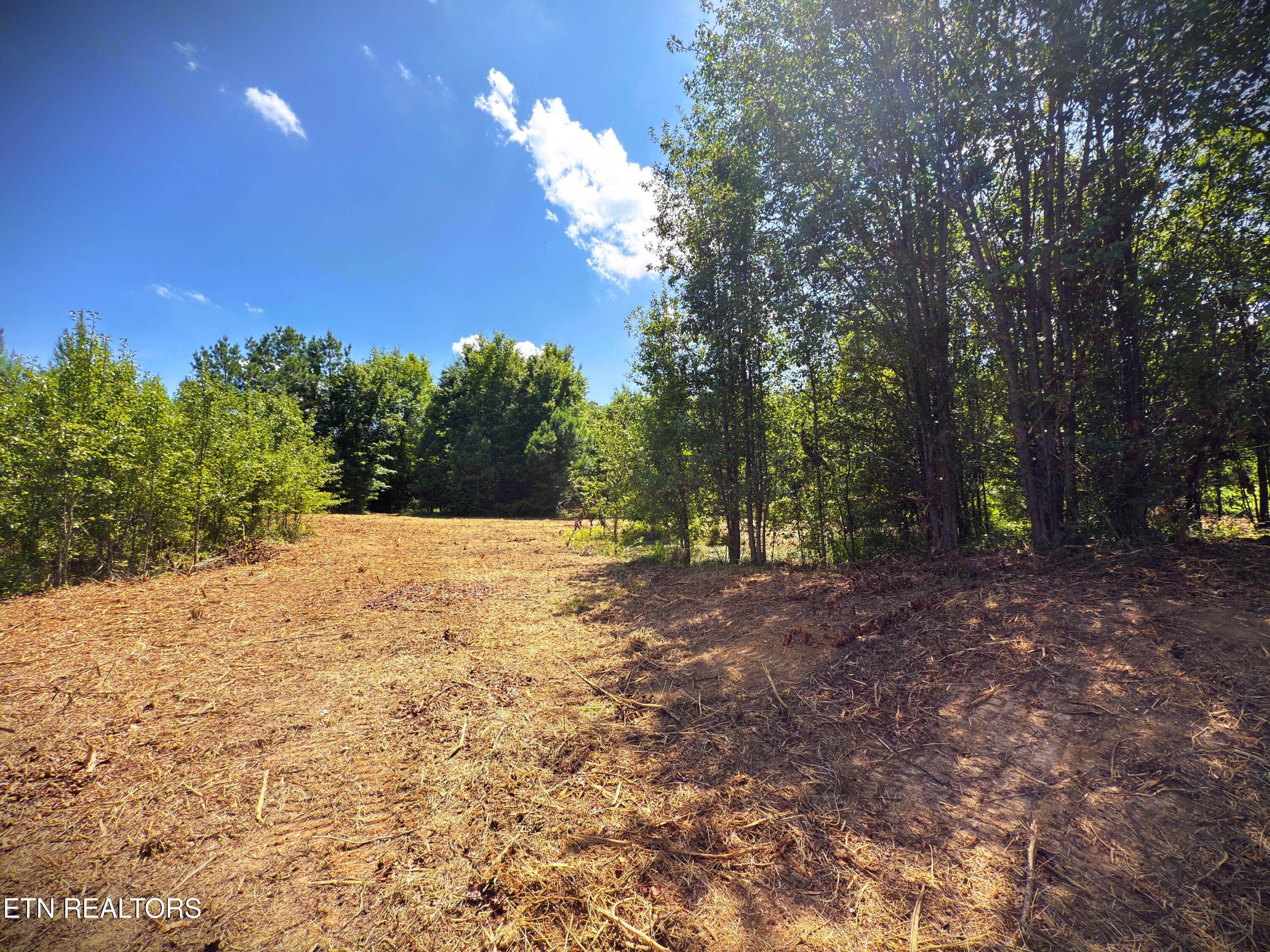 Marcrom Road Morrison, TN 37357 - Photo 16 of 24 IMG_3967