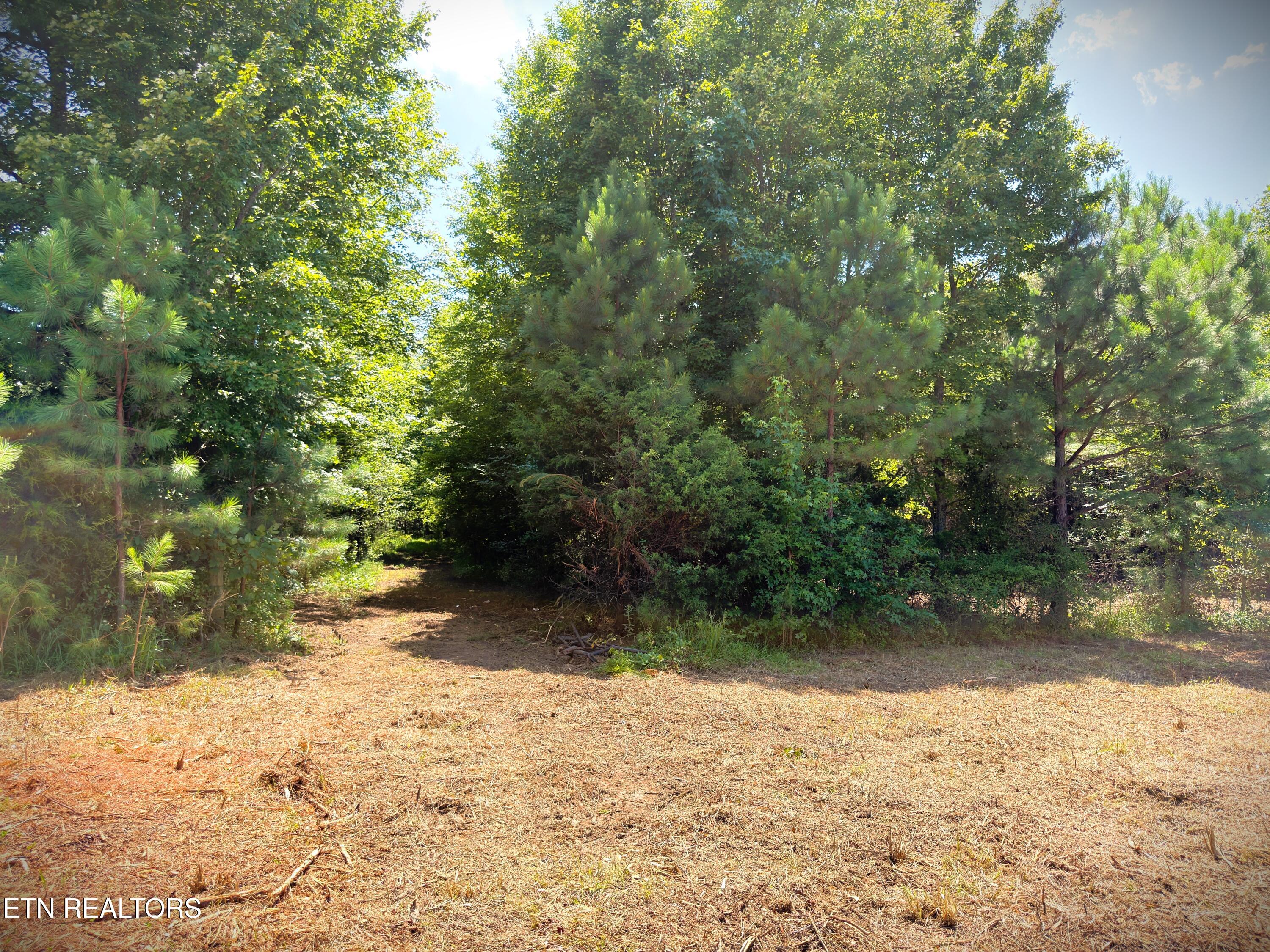 Marcrom Road Morrison, TN 37357 - Photo 18 of 24 IMG_3978