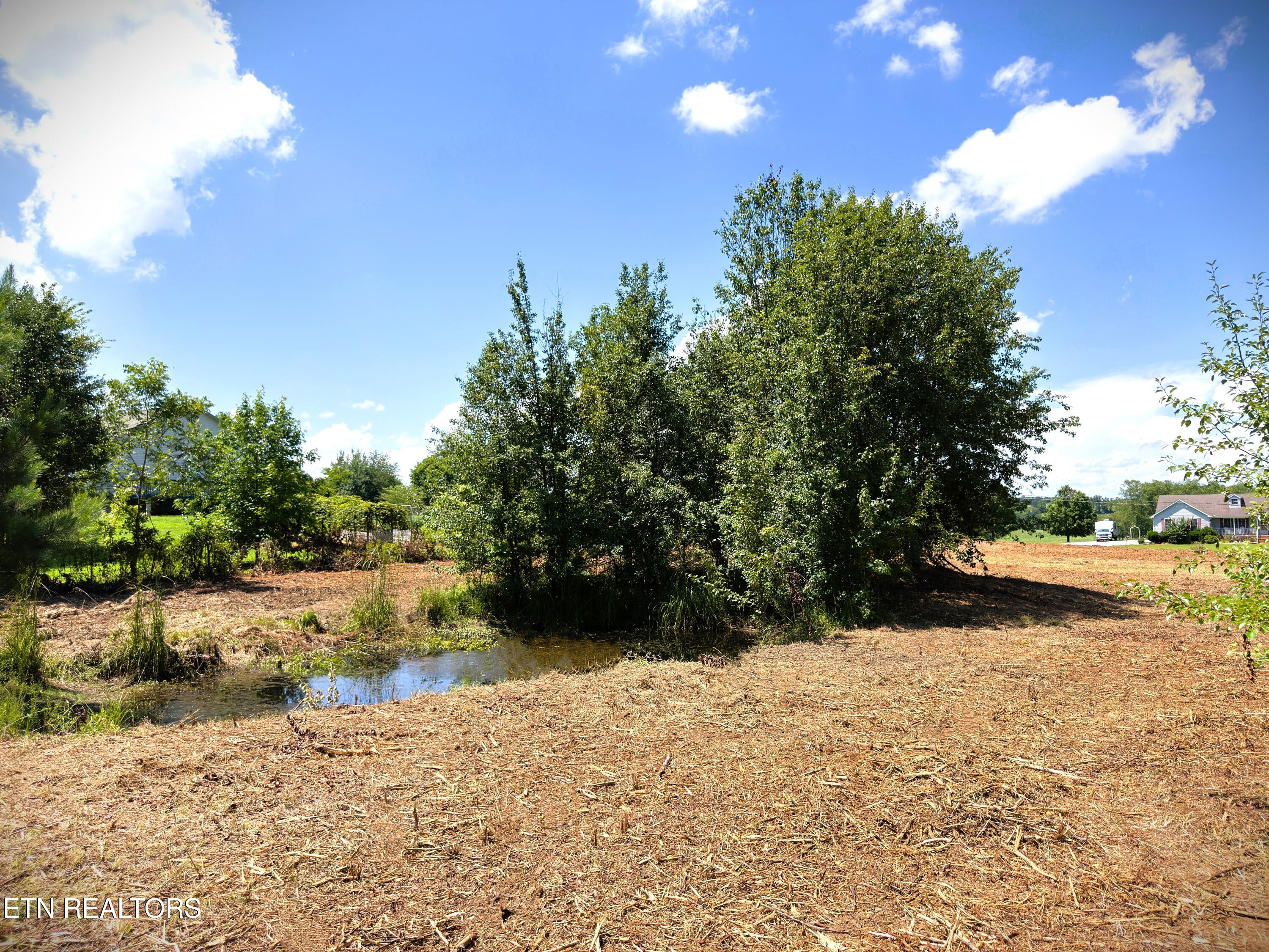 Marcrom Road Morrison, TN 37357 - Photo 19 of 24 IMG_3981