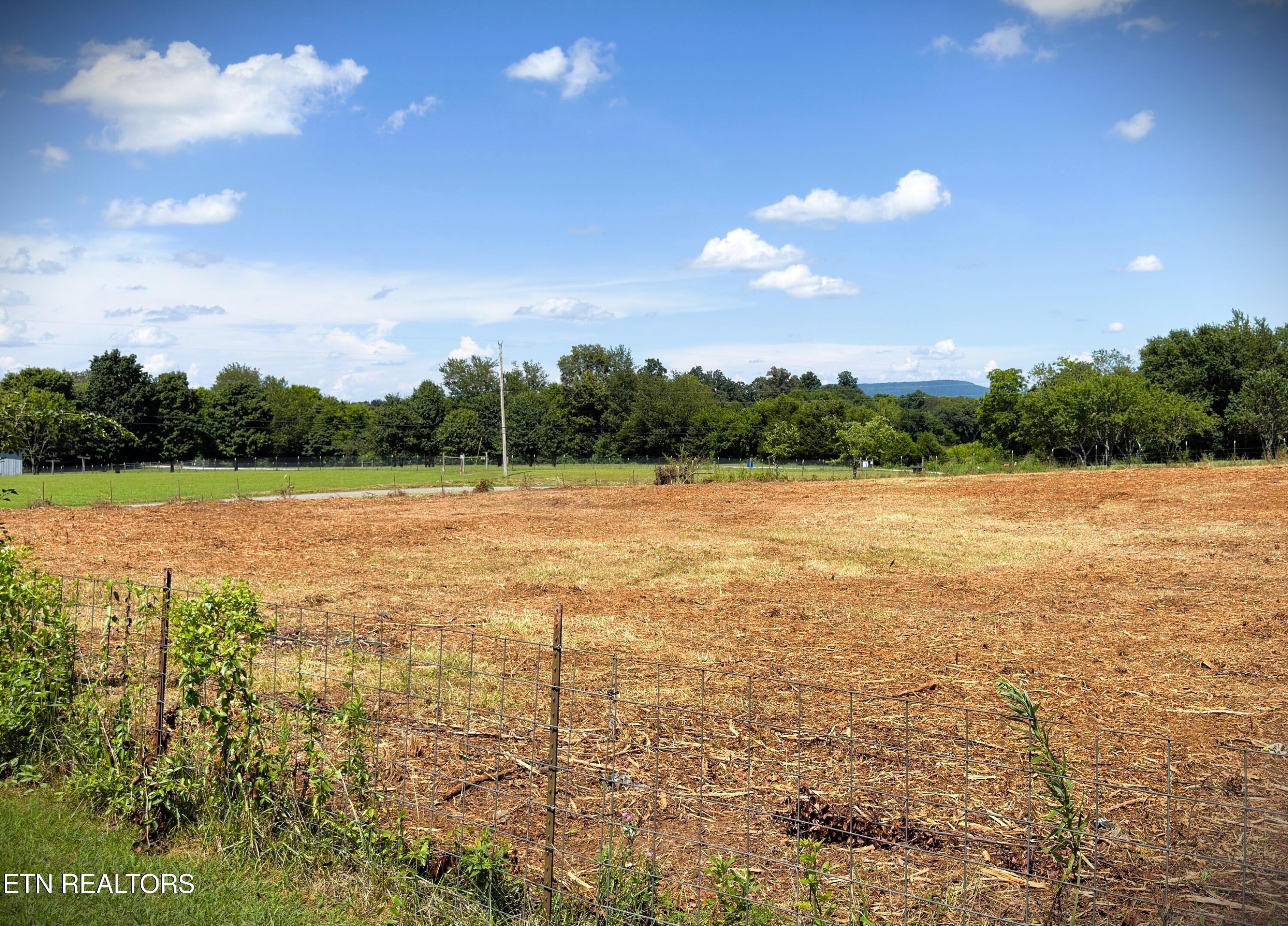 Marcrom Road Morrison, TN 37357 - Photo 4 of 24 IMG_3991