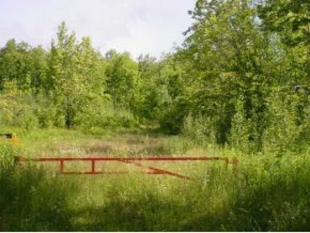 On Walnut Hill Road Crandon, WI 54520 - Photo 4 of 12 Gallery Image 4
