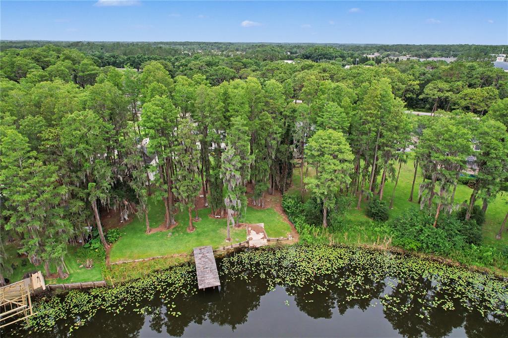 17305 Sherman Road Lutz, FL 33558 - Photo 82 of 89