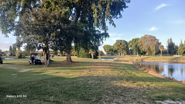 a view of backyard with tree