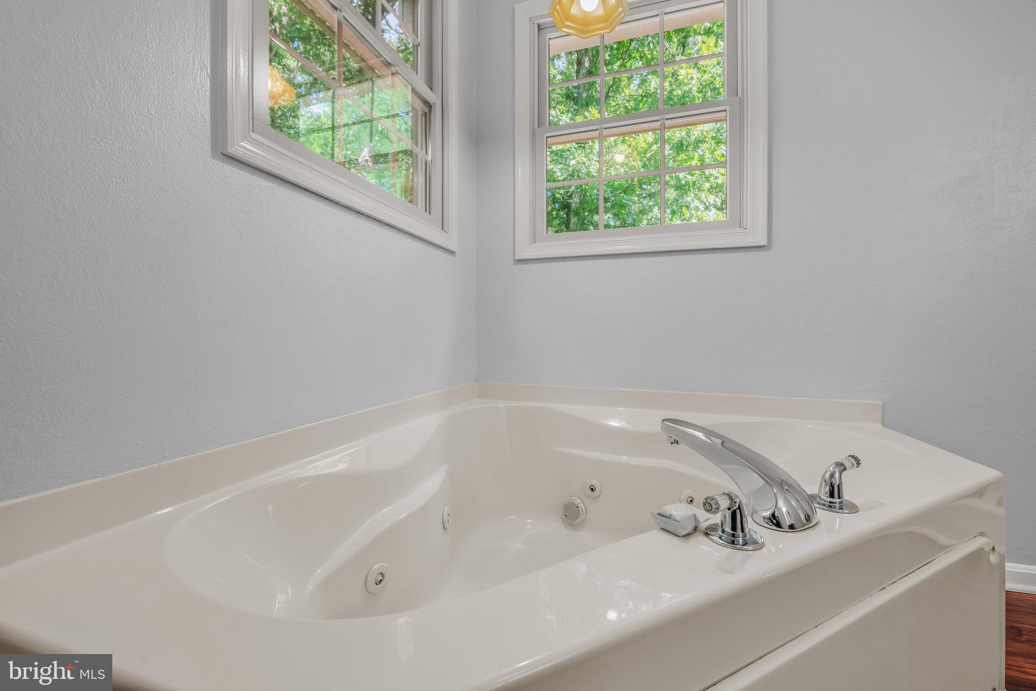 1787 Spohrs Road Berkeley Springs, WV 25411 - Photo 24 of 49 Primary Bathroom