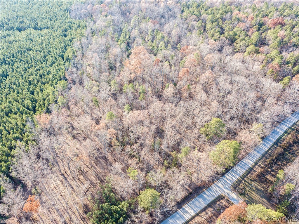12000 Taylor Road Chesterfield, VA 23838 - Photo 2 of 21 a picture of trees