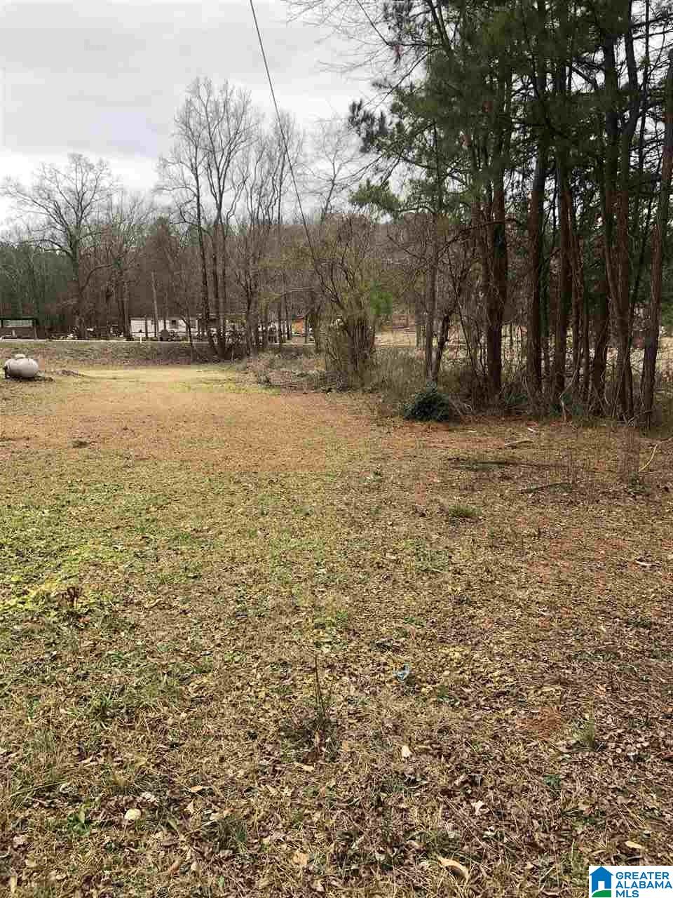 675 Richeytown Road Eastaboga, AL 36260 - Photo 22 of 23 Gallery Image 22