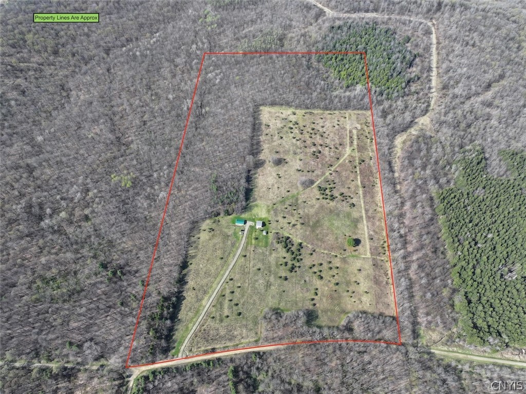 578 Clark Road Lyndon, NY 14737 - Photo 2 of 50
