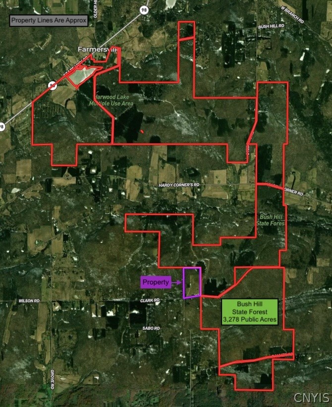 578 Clark Road Lyndon, NY 14737 - Photo 4 of 50