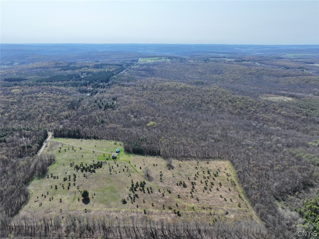 578 Clark Road Lyndon, NY 14737 - Photo 41 of 50