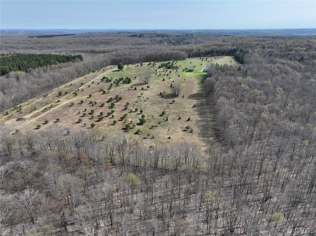 578 Clark Road Lyndon, NY 14737 - Photo 42 of 50