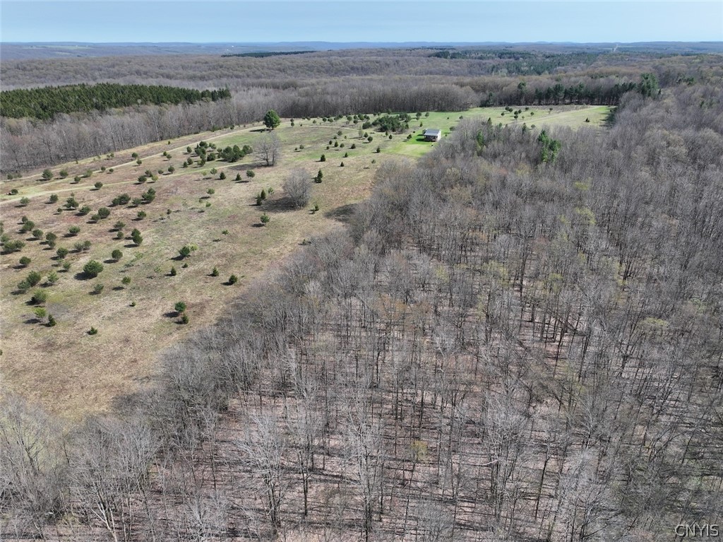 578 Clark Road Lyndon, NY 14737 - Photo 43 of 50