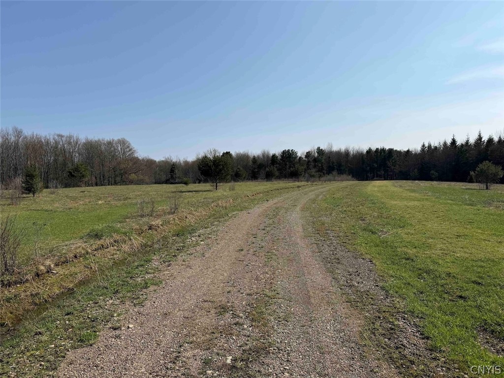 578 Clark Road Lyndon, NY 14737 - Photo 47 of 50