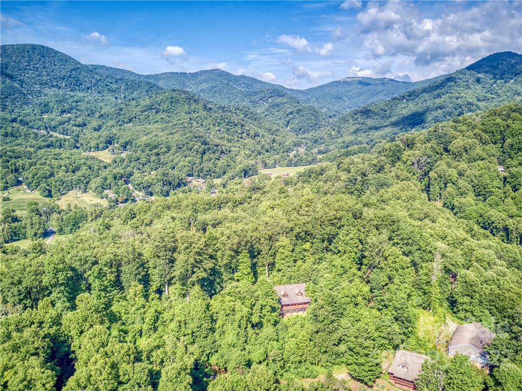 524 Higher Ground Ridge Waynesville, NC 28785 - Photo 42 of 43 Gallery Image 42