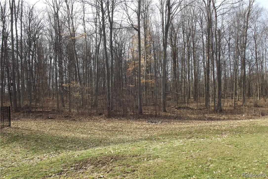 2977 Smith Road Fowlerville, MI 48836 - Photo 5 of 17 DSCF6630.JPG