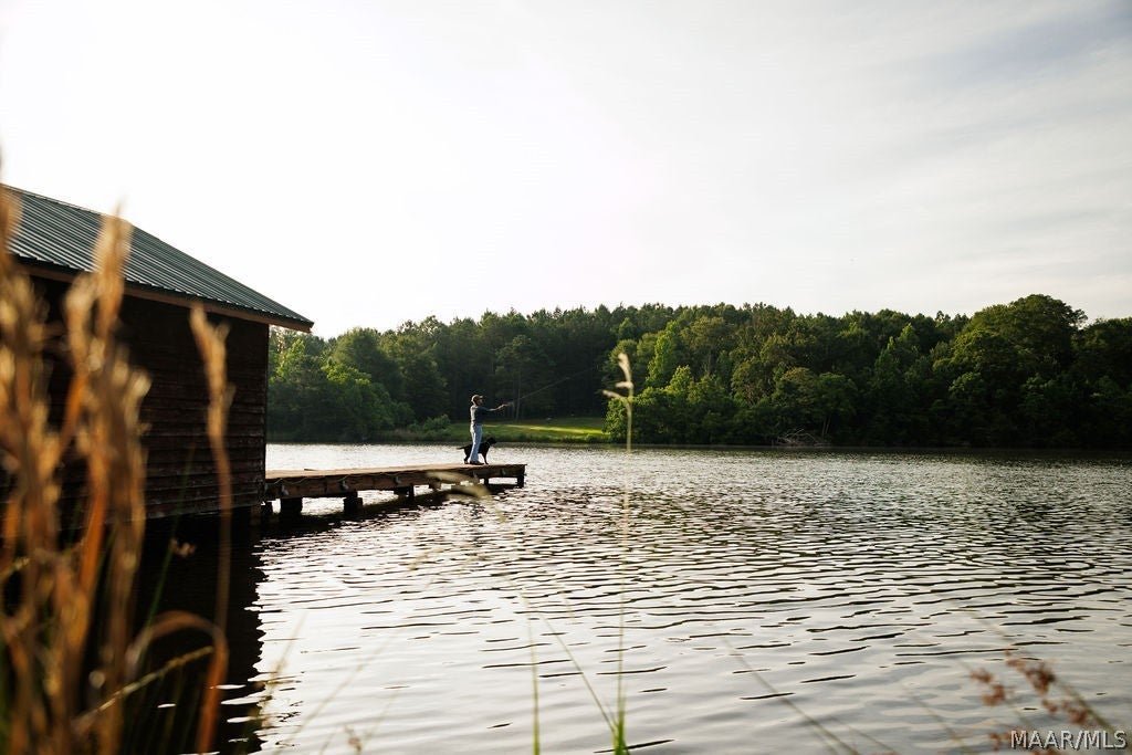 249 Old Sellers Road Ramer, AL 36069 - Photo 36 of 71 Gallery Image 36