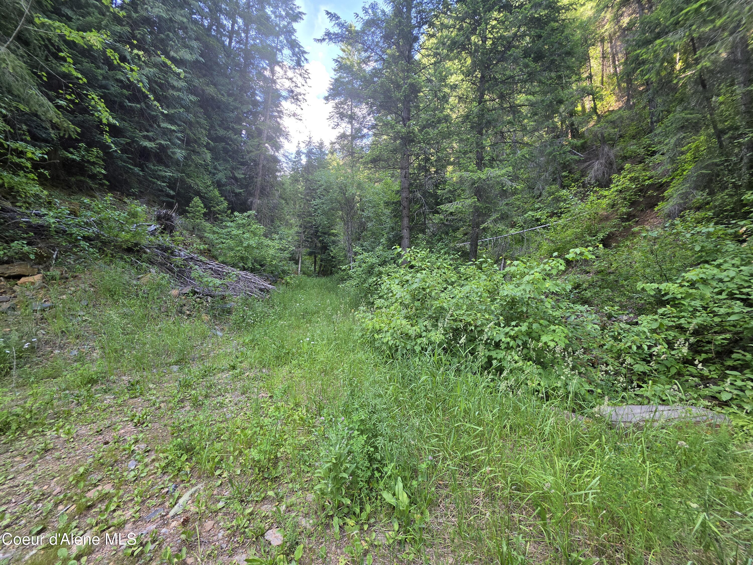 480 Dunn Peak Road Avery, ID 83802 - Photo 16 of 66 Avery Creek