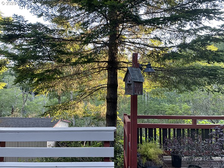 96104 Cape Ferrelo Road Brookings, OR 97415 - Photo 30 of 36