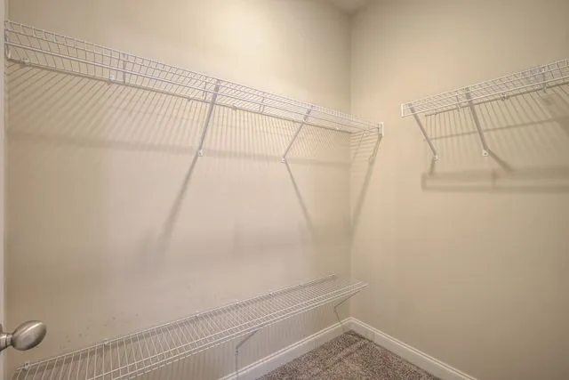 a bathroom with a shower and a toilet