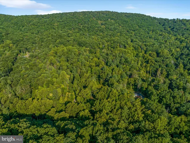 a view of a lush green field