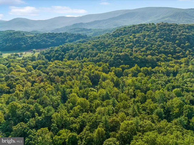 a view of a lush green hillside and houses
