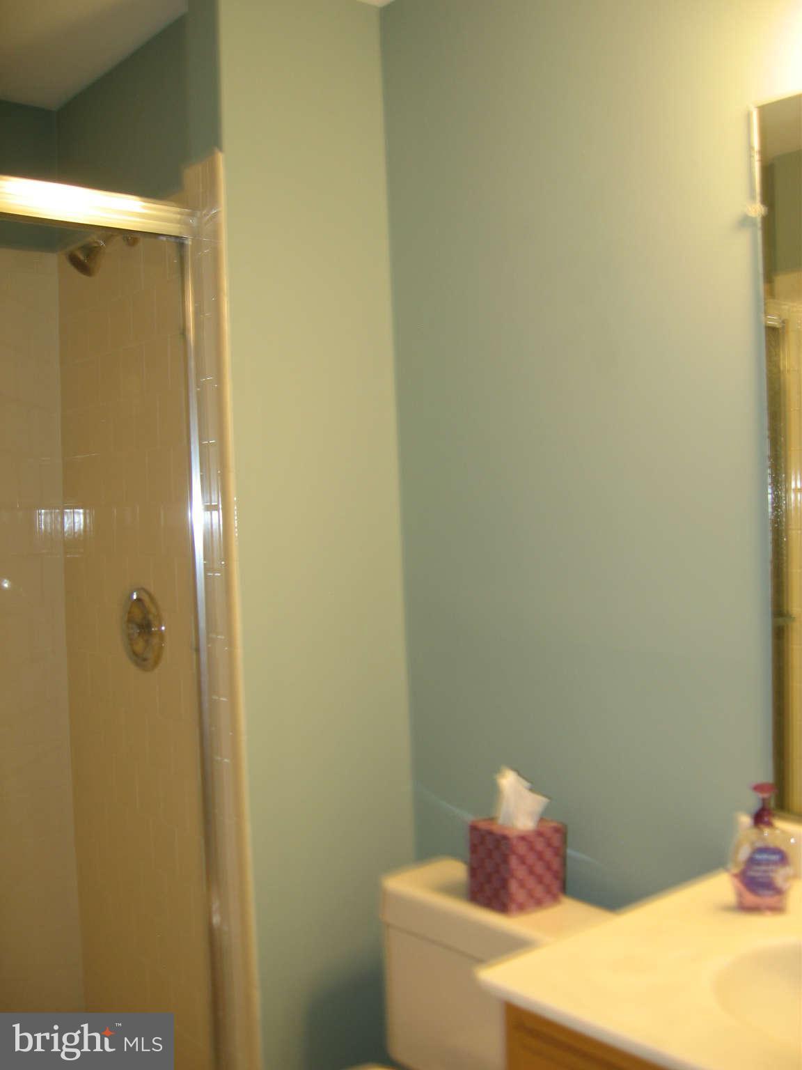 8004 Rising Ridge Road Bethesda, MD 20817 - Photo 27 of 30 Full Bath # 3 in the Basement Level