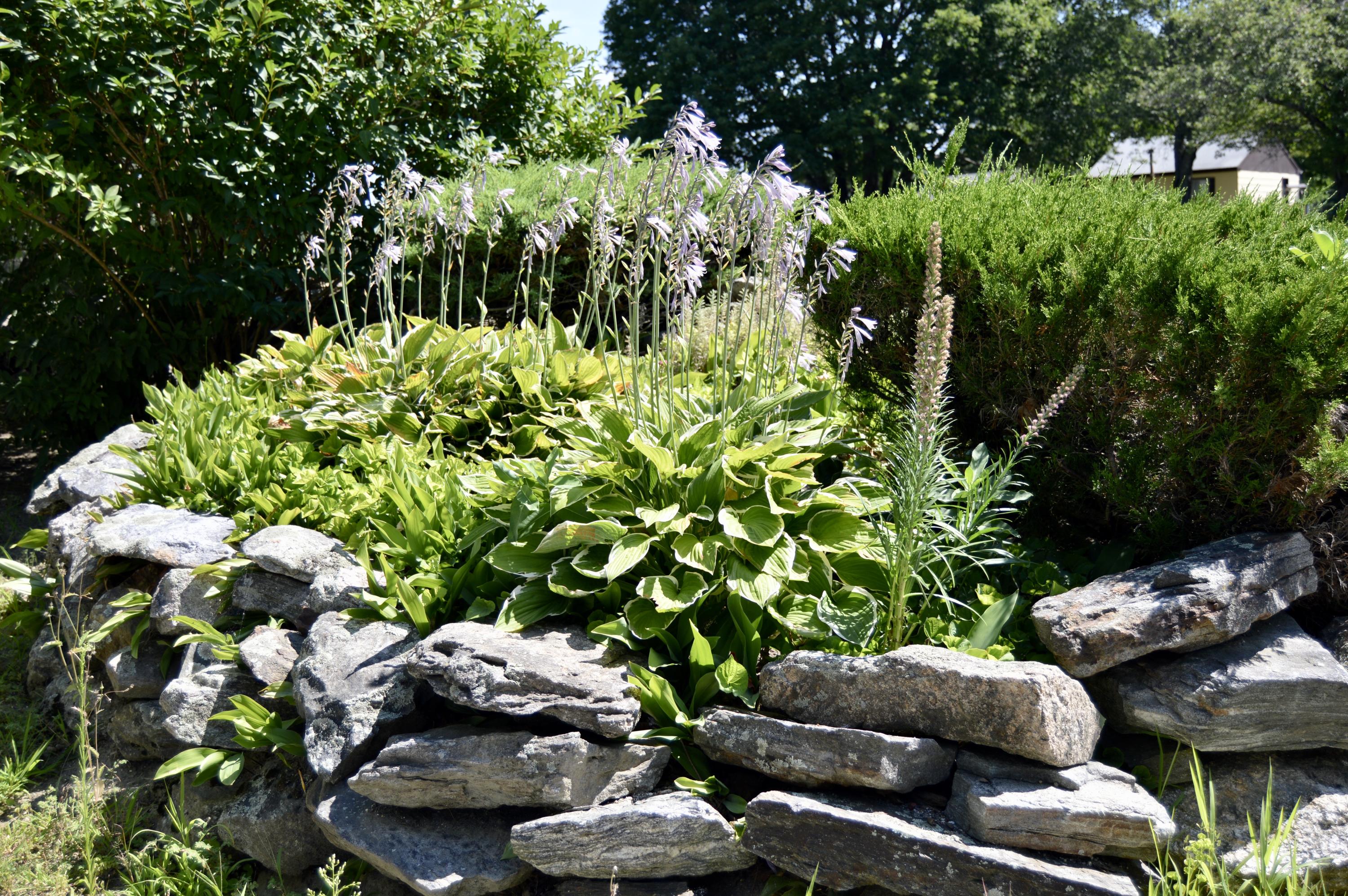 132 Stetson Road Lewiston, ME 04240 - Photo 7 of 48 Landscaping