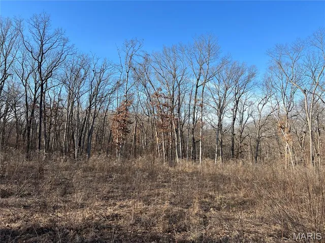 $99,000 | 431 Piper Court, Troy, MO 63379