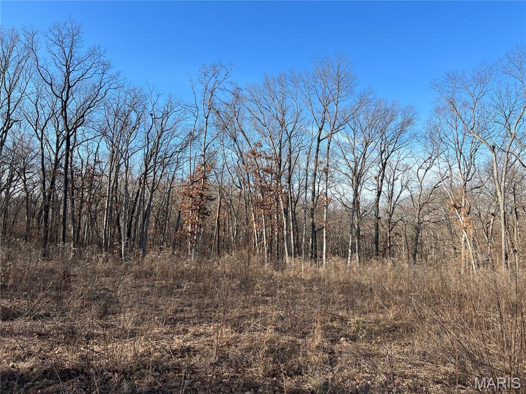 431 Piper Court Troy, MO 63379 - Photo 2 of 12