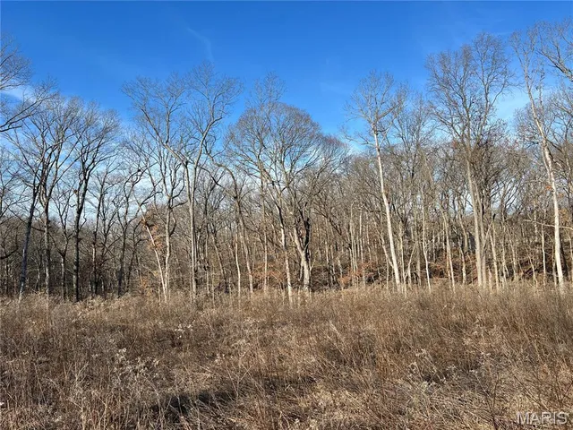 $99,000 | 431 Piper Court, Troy, MO 63379