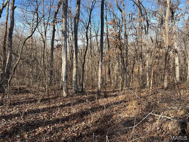 $99,000 | 431 Piper Court, Troy, MO 63379