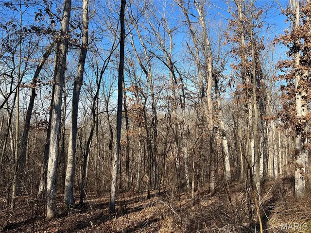 $99,000 | 431 Piper Court, Troy, MO 63379