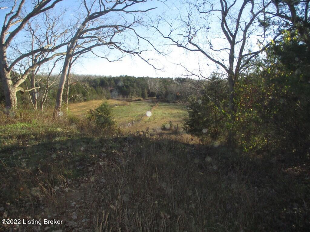 0 Freeman Road Hillsboro, KY 41049 - Photo 4 of 14 61