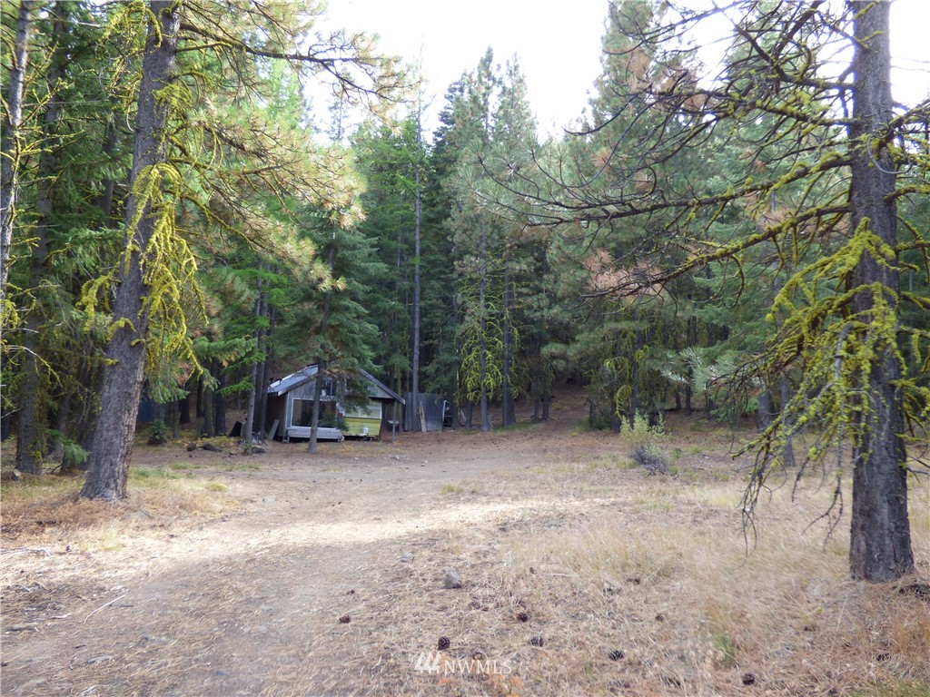 0 Manastash Road Ellensburg, WA 98926 - Photo 2 of 9 Gallery Image 2