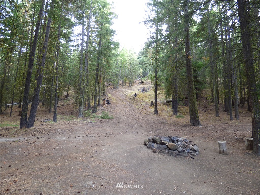 0 Manastash Road Ellensburg, WA 98926 - Photo 3 of 9 Gallery Image 3