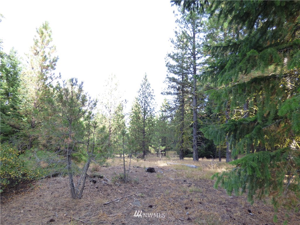 0 Manastash Road Ellensburg, WA 98926 - Photo 8 of 9 Gallery Image 8