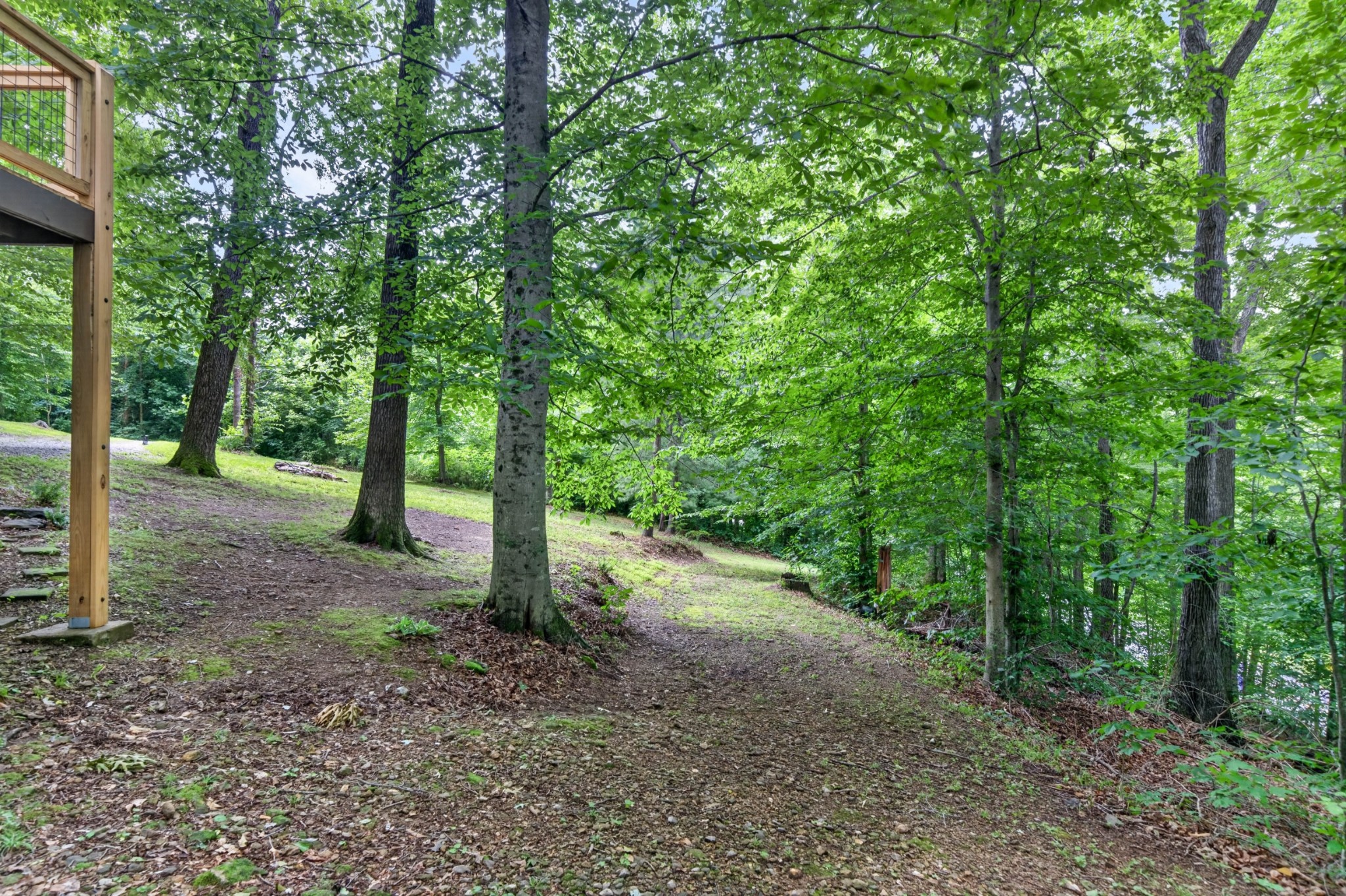 57 Steve Rich Road Red Boiling Springs, TN 37150 - Photo 7 of 42