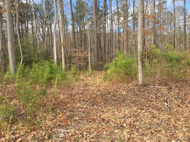 Lot Coopers Coopers Landing Road Heathsville, VA 22473 - Photo 4 of 4