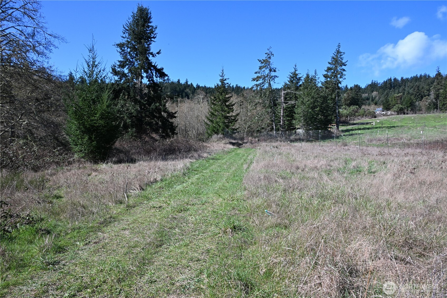 1111 Sandwith Road Friday Harbor, WA 98250 - Photo 17 of 23 a view of a yard with a tree
