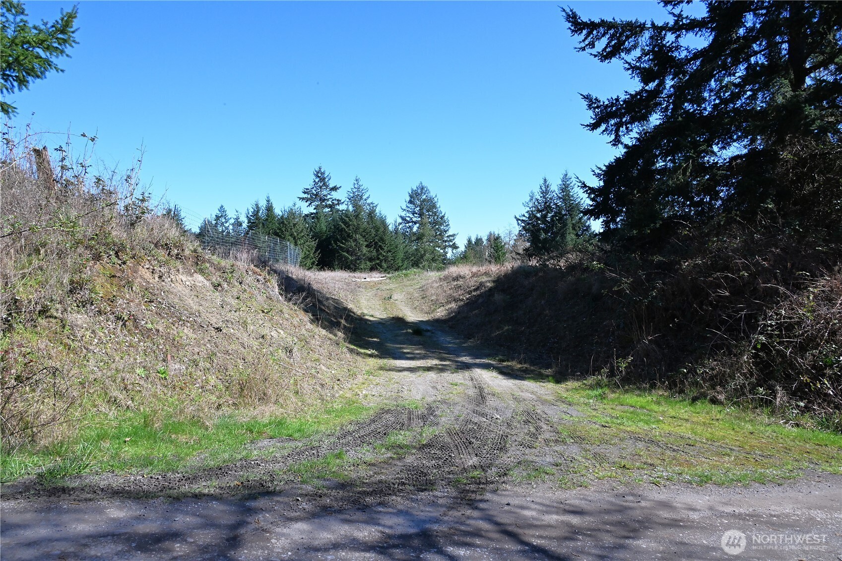 1111 Sandwith Road Friday Harbor, WA 98250 - Photo 18 of 23 a view of a dry yard with trees