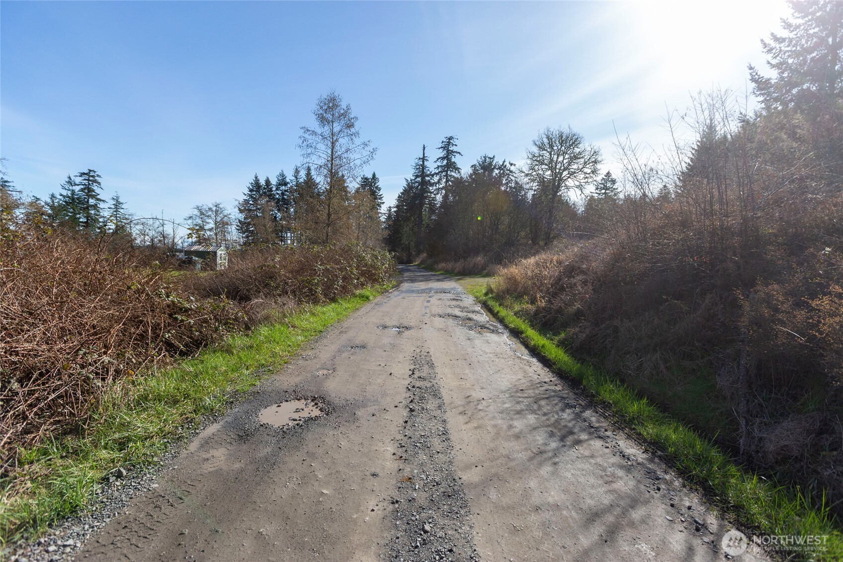 1111 Sandwith Road Friday Harbor, WA 98250 - Photo 20 of 23 a view of a dirt road with trees in the background