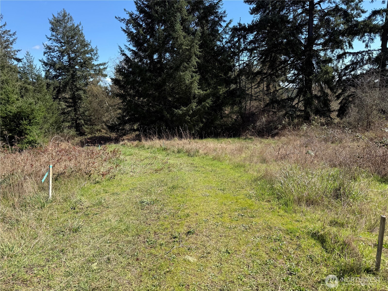 1111 Sandwith Road Friday Harbor, WA 98250 - Photo 4 of 23 a view of a yard