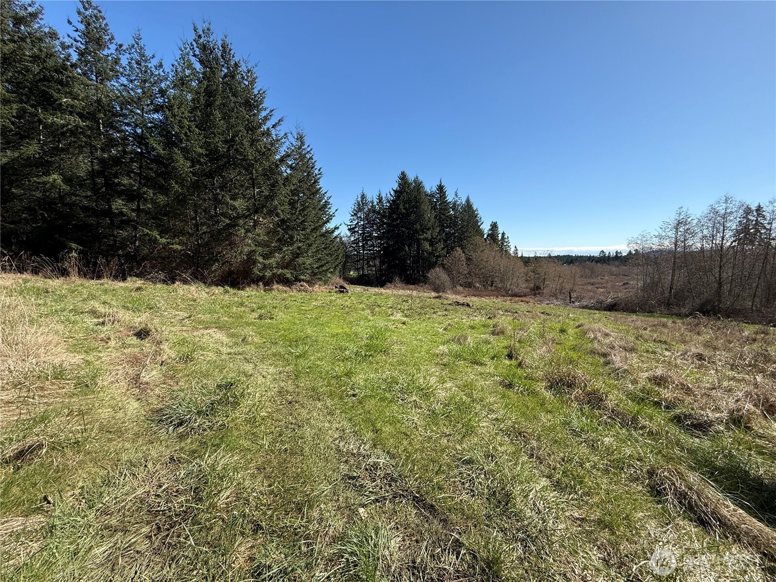 1111 Sandwith Road Friday Harbor, WA 98250 - Photo 6 of 23 a view of a yard