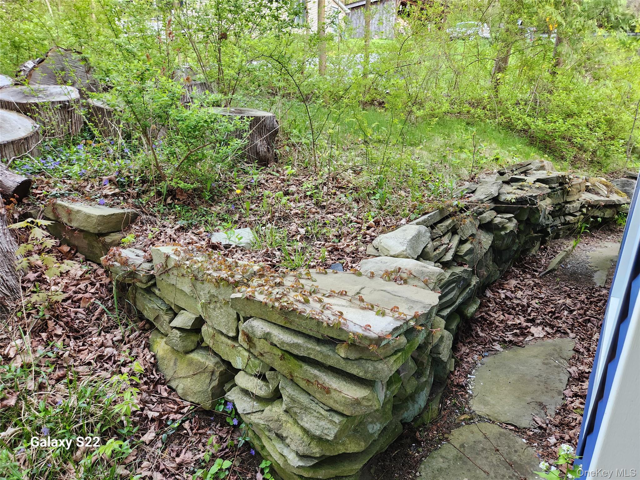 1014 Rte 44 55 Clintondale, NY 12515 - Photo 43 of 45 a view of a yard with plants