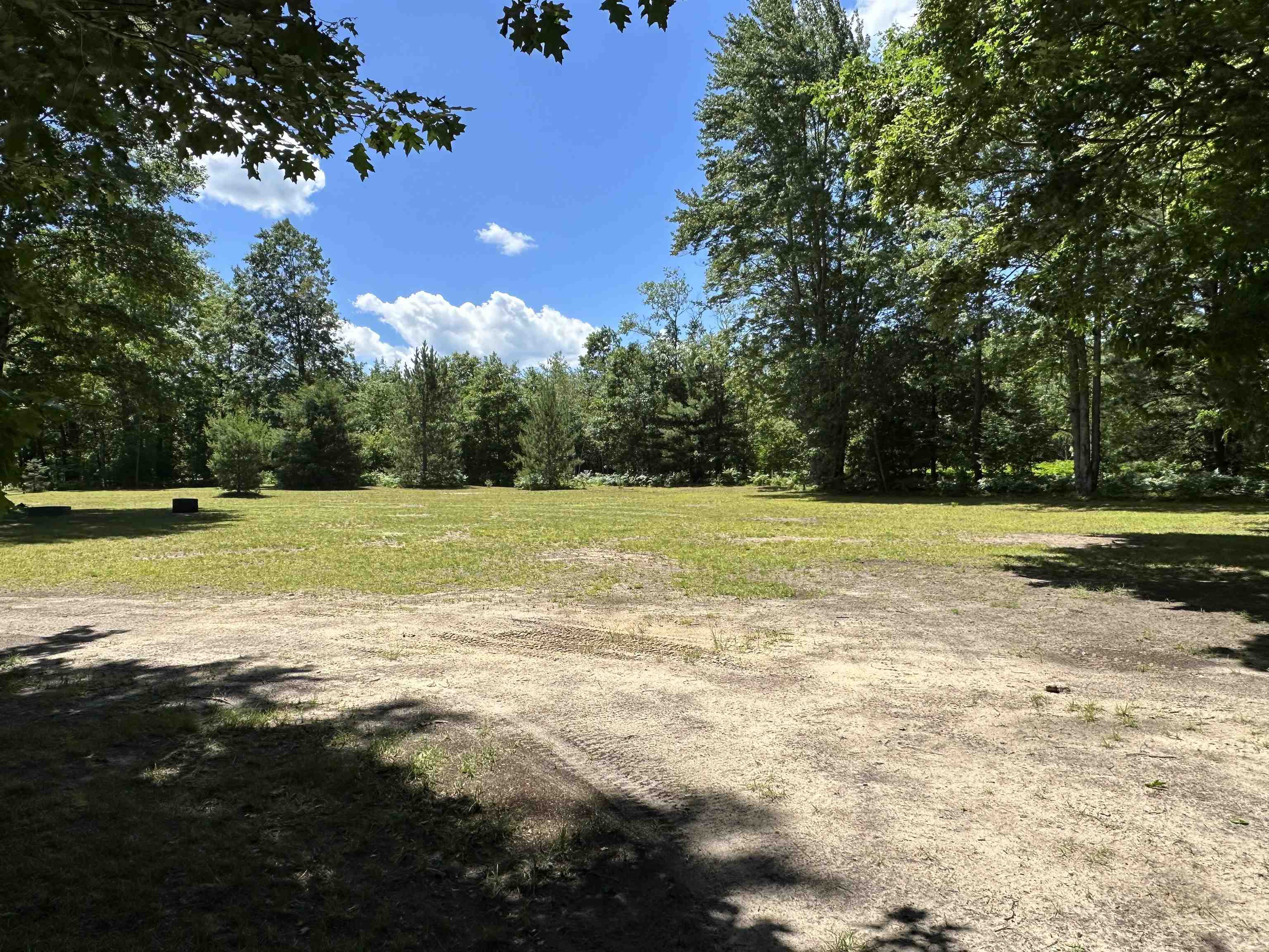 0 North Hodenpyl Dam Road Mesick, MI 49668 - Photo 1 of 11