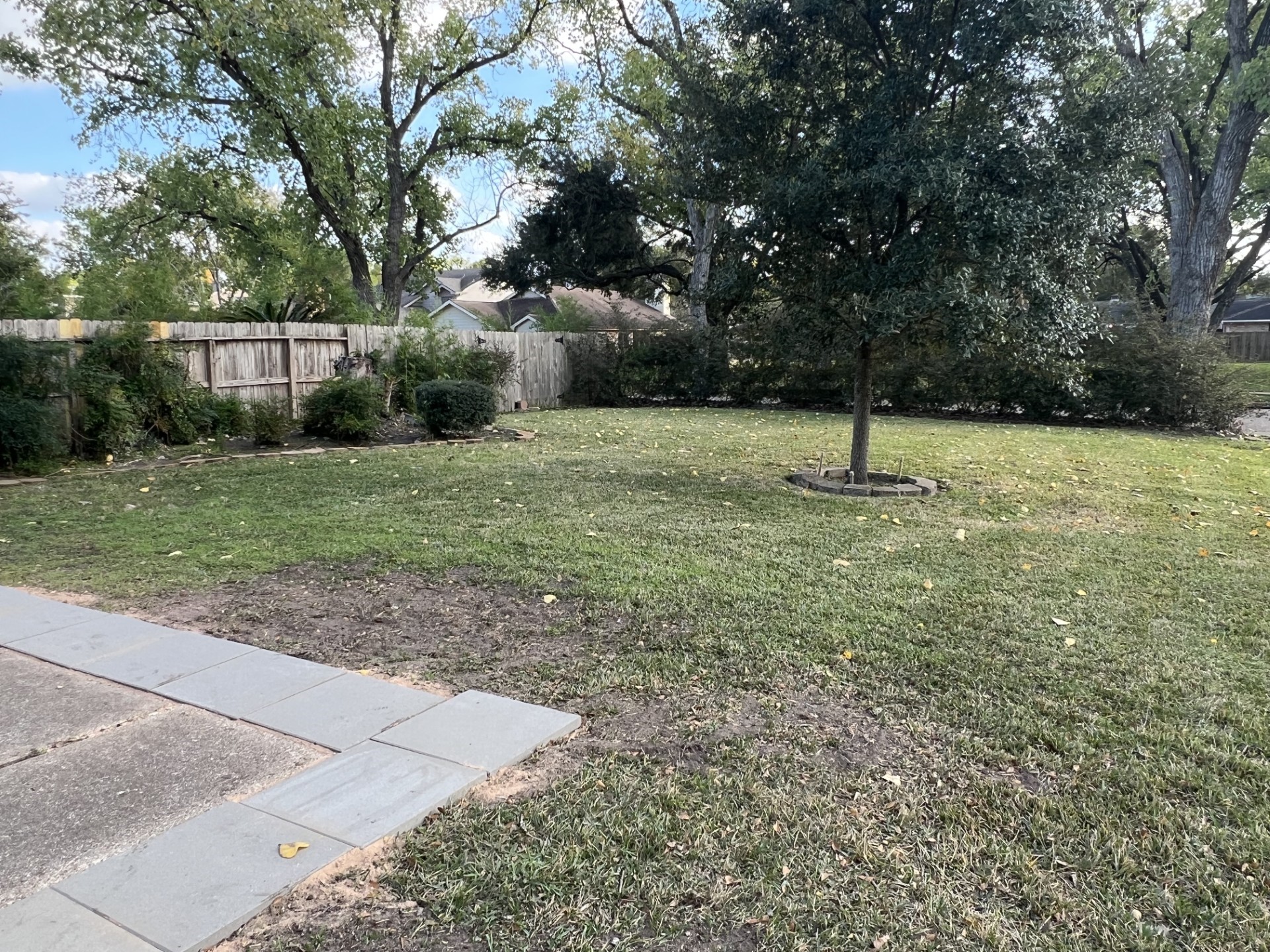1635 Ainsdale Drive Houston, TX 77077 - Photo 29 of 32 Front yard, the house is on two lots.