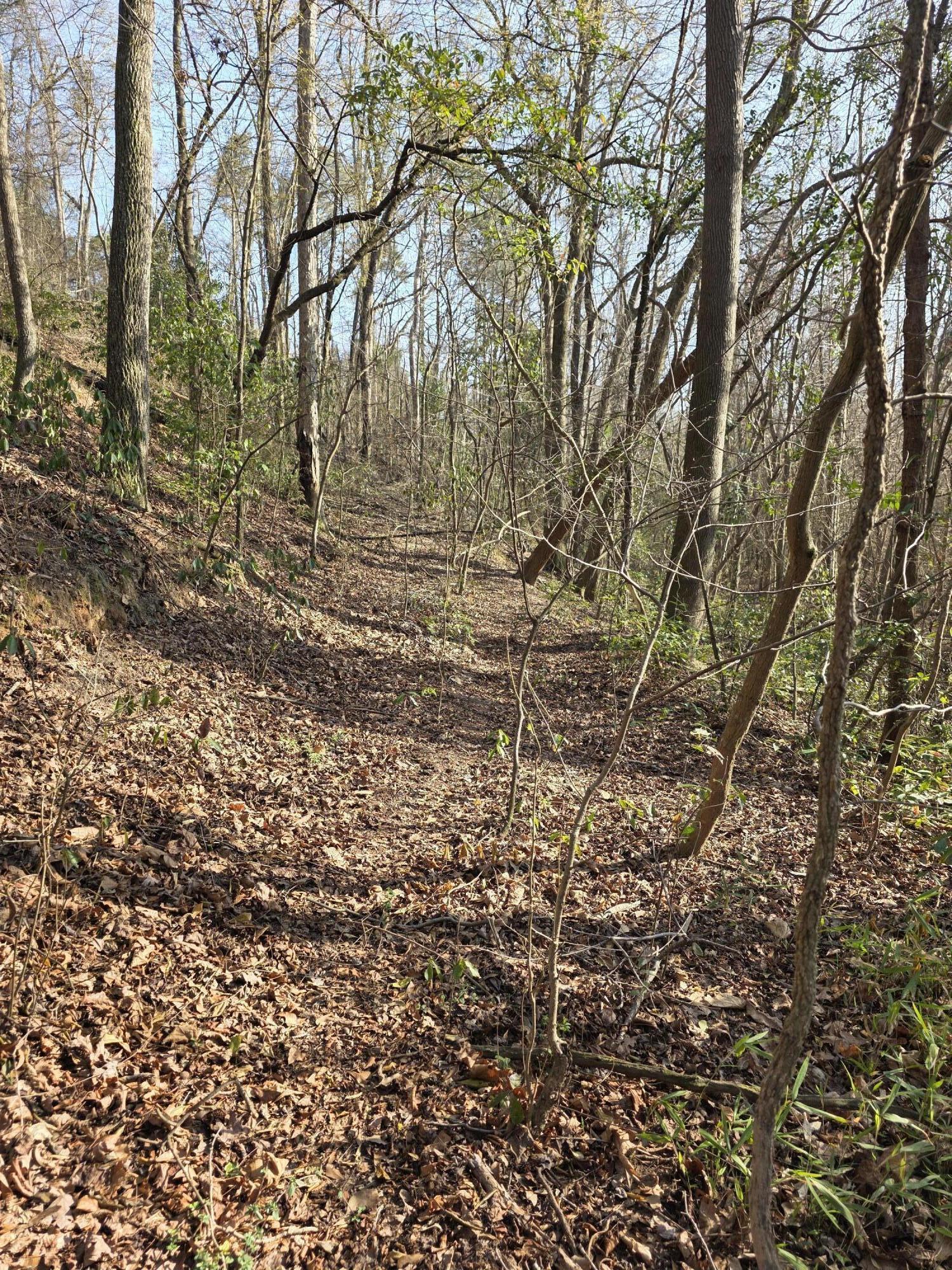 Tbd Atomic Road Beech Island, SC 29842 - Photo 4 of 6 20260303_161713