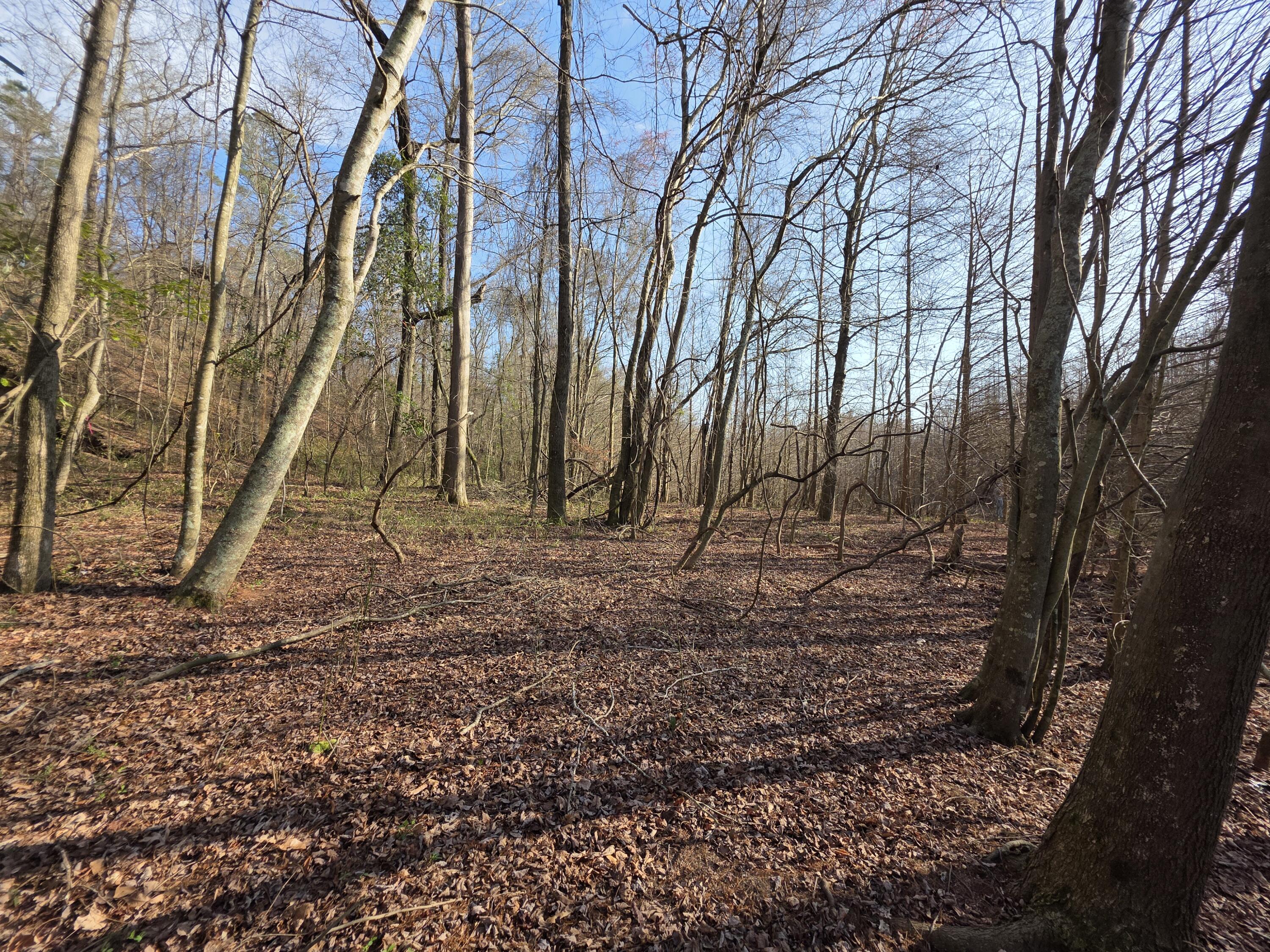Tbd Atomic Road Beech Island, SC 29842 - Photo 5 of 6 20260303_161239