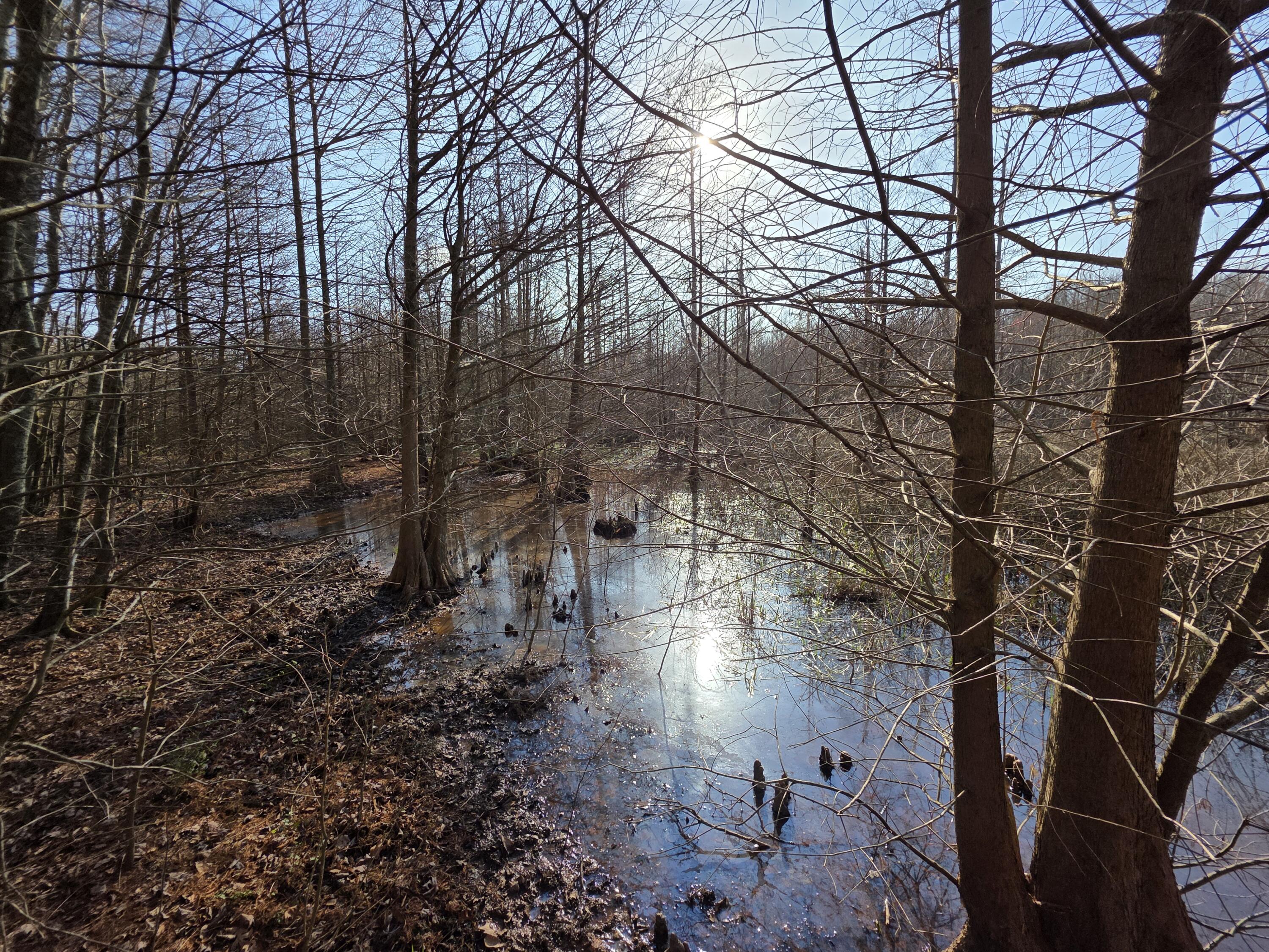 Tbd Atomic Road Beech Island, SC 29842 - Photo 6 of 6 20260303_161138