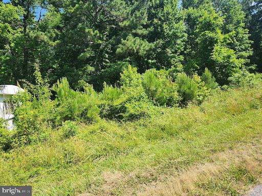 48008 Beachville Road St. Inigoes, MD 20684 - Photo 4 of 11